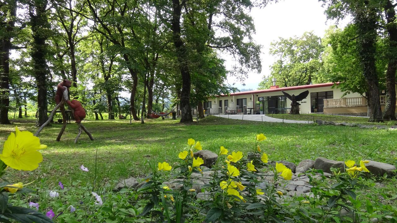 Kvareli Oaks Hotel Exterior photo